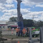 wallumtree_502947_01