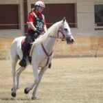 2410ARAB_510557_02-1