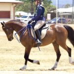 2410ARAB_510557_04-1