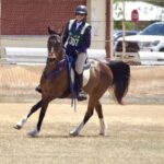 2410ARAB_510557_06-1