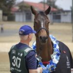 2410ARAB_510557_09-1