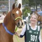 2410ARAB_510557_24-1