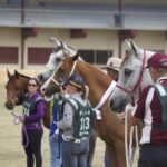 2410ARAB_510557_29-1