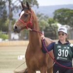 2410ARAB_510557_33-1