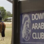 2410ARAB_510557_36-1