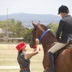 2410ARAB_510557_37-1