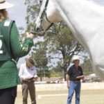 2410ARAB_510557_39-1