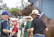Fleet of foot, curious by nature
