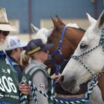 2410ARAB_510557_48-1