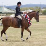 2410ARAB_510557_49-1