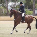 2410ARAB_510557_52-1