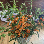 FlowerShow_510160_17