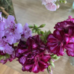 FlowerShow_510160_21