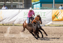 Condamine Bell campdraft kicks off Triple crown
