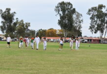 Roma cruise to 9 wicket Knox Shield win over Charleville
