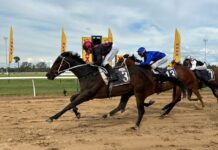 Roma hosting last qualifiers for rich finals