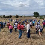 2410THEODO_510934_01