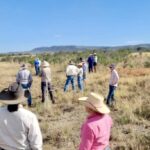 2410THEODO_510934_12