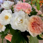 FlowerShow_510160_04