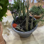 FlowerShow_510160_10