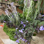 FlowerShow_510160_23