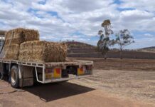 Rural Aid calls for urgent support
