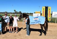 Despite the sky, Tilley and Webster forge another Cup win