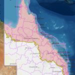 cattletick_512268_03