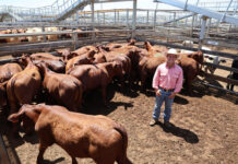 Temperatures and prices rise high