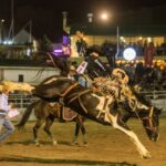 rodeo_513455_01