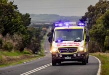 Death following workplace incident at Roma Saleyards