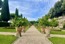 The Barberini Gardens at Castel Gandolfo