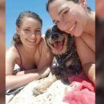 Wieambilla_449882_05