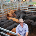 cattlesale_525518_01