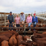 cattlesale_525518_02