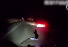 Man dies in Condamine crash