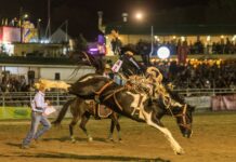 Brennan caps off a successful 2025 season with a 4th place finish in the NFR