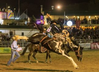 Brennan caps off a successful 2025 season with a 4th place finish in the NFR