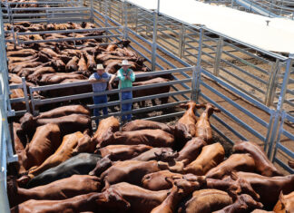 Second last sale a success