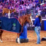 tomcurtain_521850_03