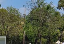 Strong bowling performance sees Yagaburne home against Macintyre