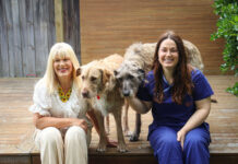 Bendigo Bank scholarship applications open for 2026