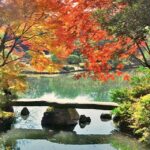 Garden0901_527287_02