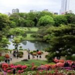 Garden0901_527287_03