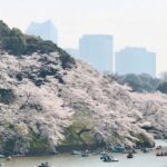 Garden0901_527287_05