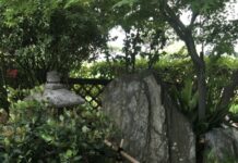 Welcoming the New Year in the garden