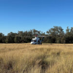 LifeFlight_529574_07