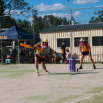 cricketpic_528602_16