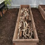 gardenpics_531118_02