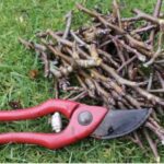 gardenpics_531118_05